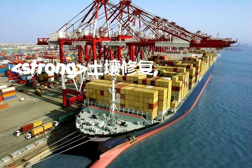 <strong>土壤修复,危废资源化龙头危险废弃物处理的专业之道：安全高效的施工技术</strong>